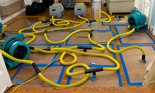 Professional Crawl Space Water Removal technician working in Schodack Landing, NY
